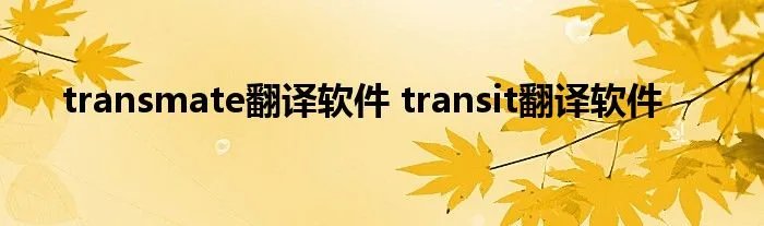 transmate翻译软件 transit翻译软件