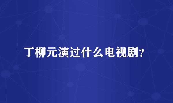 丁柳元演过什么电视剧？