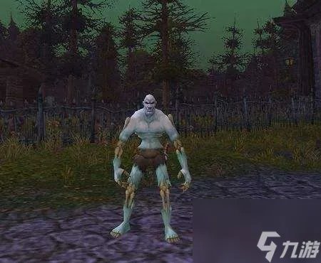 魔兽世界狼人适合什么职业 狼人种族最佳职业选择推荐