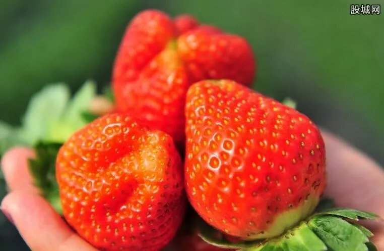 最脏蔬果草莓 12种最脏蔬果排名出炉