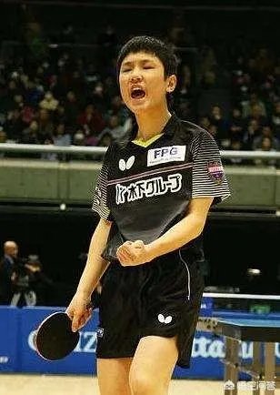 樊振东输张本智和