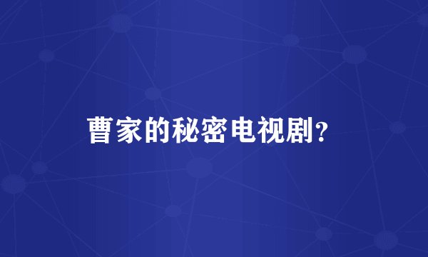 曹家的秘密电视剧？