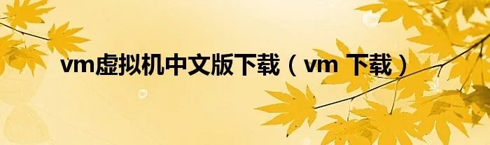 vm虚拟机中文版下载(vm 下载)