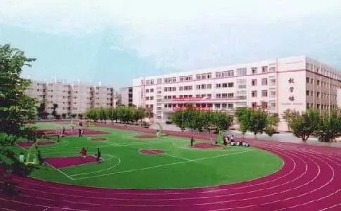 校园里的酸甜苦辣作文