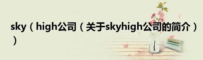 sky（high公司（关于skyhigh公司的简介））