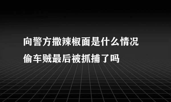 向警方撒辣椒面是什么情况 偷车贼最后被抓捕了吗