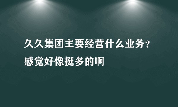 久久集团主要经营什么业务？感觉好像挺多的啊
