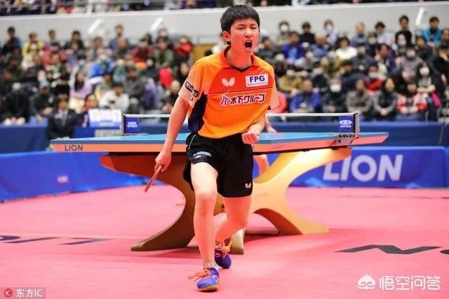 樊振东输张本智和