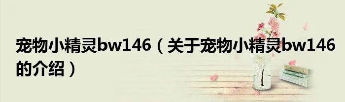 宠物小精灵bw146（关于宠物小精灵bw146的介绍）