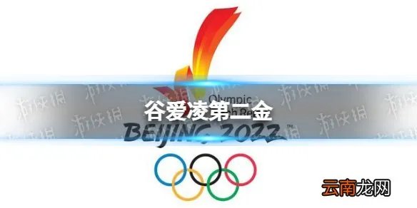 谷爱凌第二金 谷爱凌第二金是什么项目