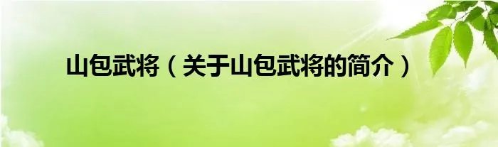 山包武将（关于山包武将的简介）