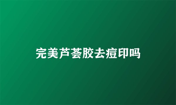 完美芦荟胶去痘印吗