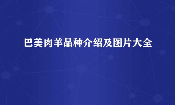 巴美肉羊品种介绍及图片大全