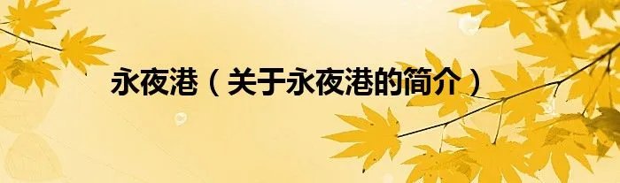 永夜港（关于永夜港的简介）
