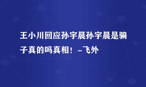 王小川回应孙宇晨孙宇晨是骗子真的吗真相!-飞外