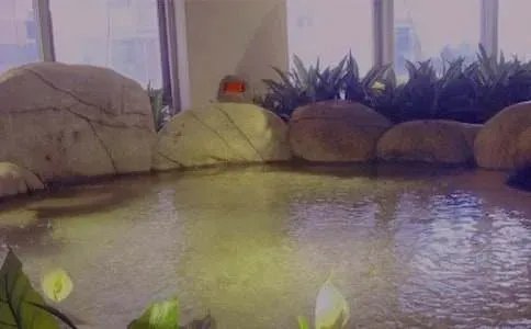 开心泡温泉初一日记400字