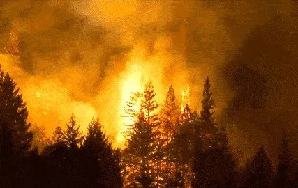 西昌山火为什么会死这么多人?