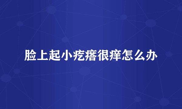 脸上起小疙瘩很痒怎么办