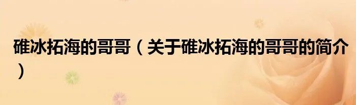 碓冰拓海的哥哥（关于碓冰拓海的哥哥的简介）