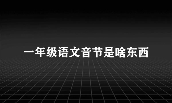 一年级语文音节是啥东西