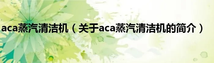 aca蒸汽清洁机（关于aca蒸汽清洁机的简介）