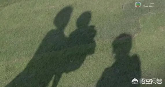 如何评价台剧《下一站幸福》?