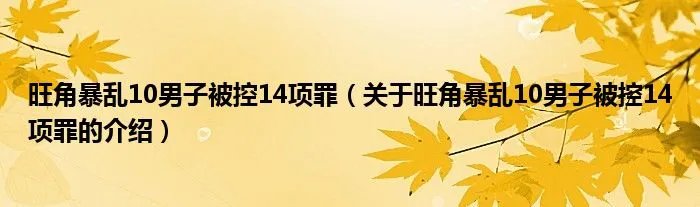 旺角暴乱10男子被控14项罪（关于旺角暴乱10男子被控14项罪的介绍）