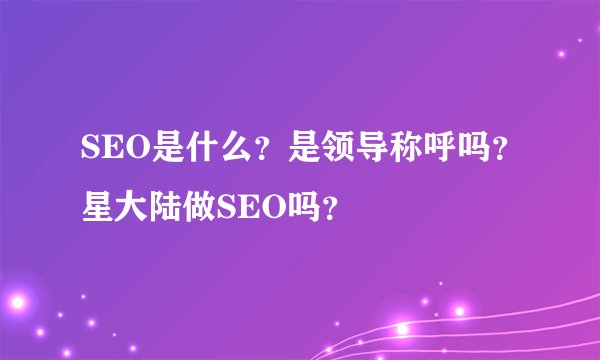 SEO是什么?是领导称呼吗?星大陆做SEO吗?