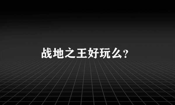 战地之王好玩么？