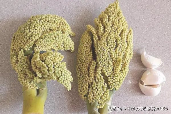 棕树花苞吃法大全