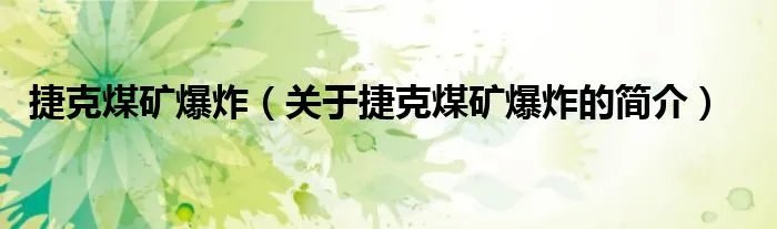 捷克煤矿爆炸（关于捷克煤矿爆炸的简介）