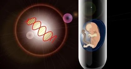 真假安利蛋白粉大PK