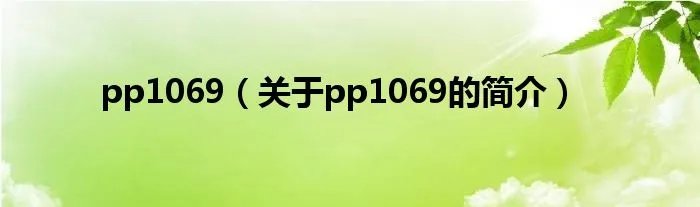 pp1069（关于pp1069的简介）