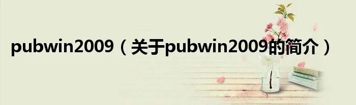 pubwin2009（关于pubwin2009的简介）