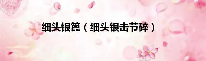 细头银篦(细头银击节碎)