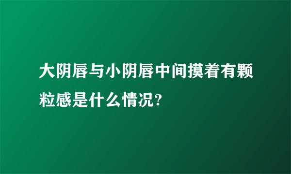 大阴唇与小阴唇中间摸着有颗粒感是什么情况?