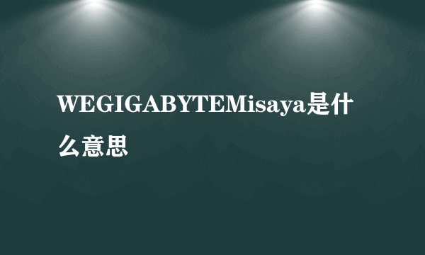 WEGIGABYTEMisaya是什么意思
