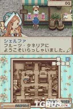 NDS《牧场物语:风之集会》攻略参考资料