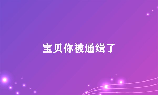 宝贝你被通缉了