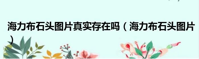 海力布石头图片真实存在吗（海力布石头图片）
