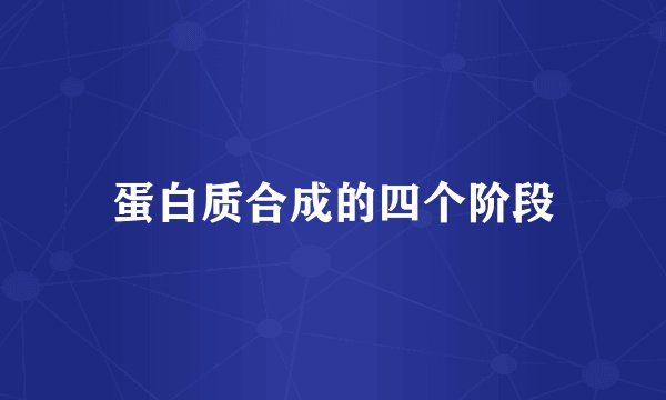 蛋白质合成的四个阶段