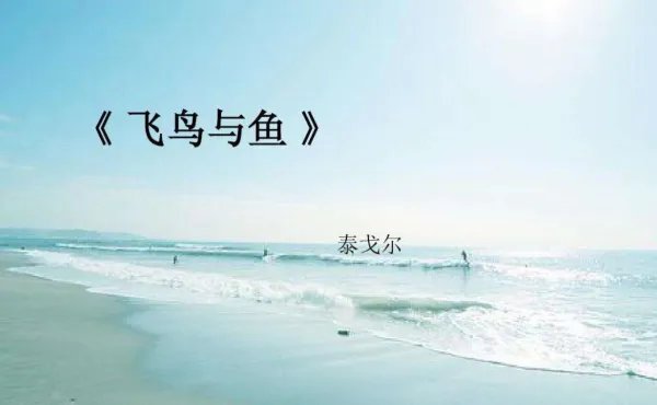 泰戈尔的【飞鸟与鱼】的翻译【英文版】一定要准确