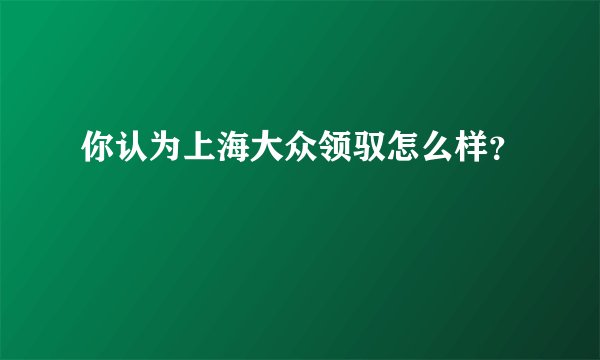 你认为上海大众领驭怎么样？