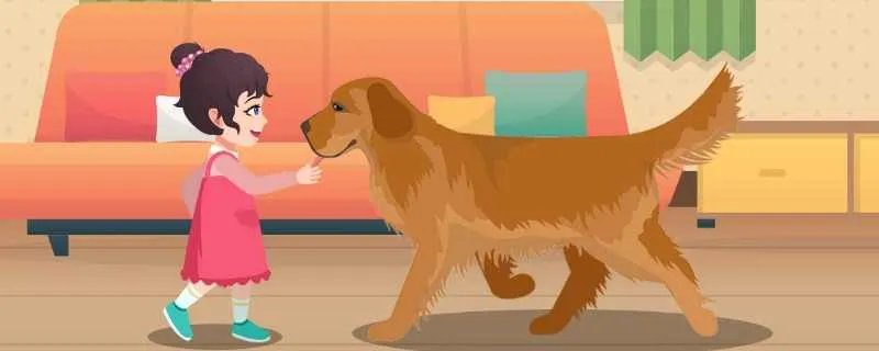 巧克力能喂给狗狗吃吗