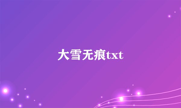 大雪无痕txt