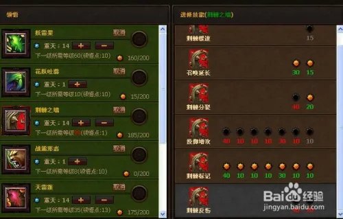 斗战神果子狸加点