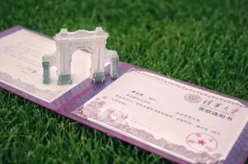 上海一女生因病休学一年后考上清华，你如何看待此事？