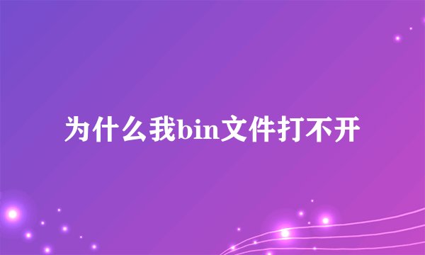 为什么我bin文件打不开