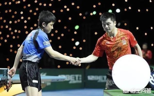 樊振东输张本智和