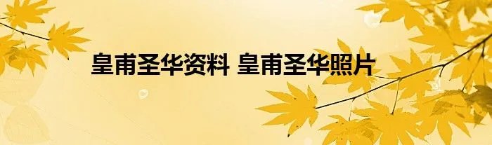 皇甫圣华资料 皇甫圣华照片